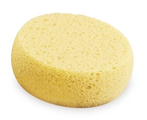Yellow Nails Sponge Image