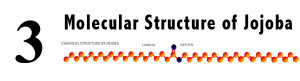 www.NailCareHQ.com Treatment of dry skin Jojoba wax ester structure