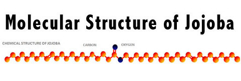 www.NailCareHQ.com Nail Oil Molecular Structure of Sebum