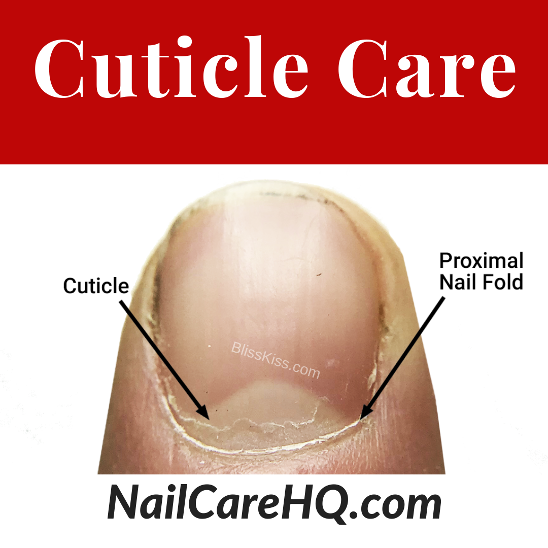 The Cuticle – Should You Clip, Push, or Scrape?