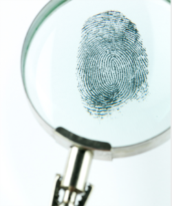 Closeup image of finger print under a magnifying glass. To stop peeling nails and breaking nails, it's important to pick things up with your fingerprints, not the tips of your fingers.