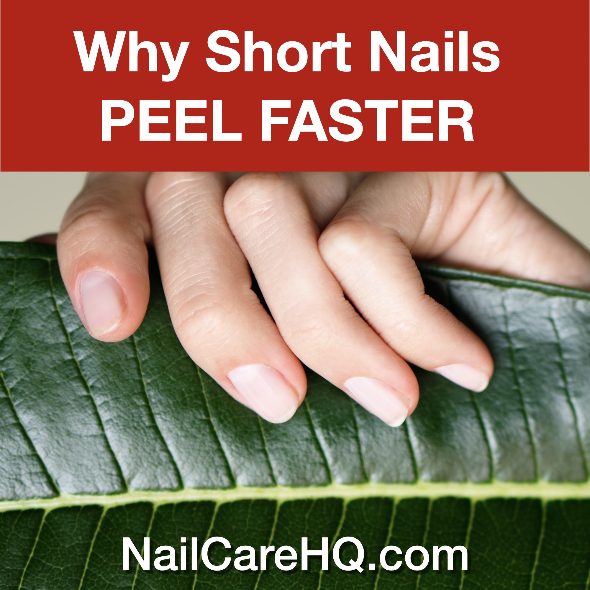 Title Image Why short nails peel faster than long nails